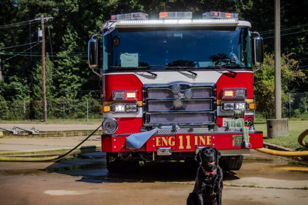 Richmond Fire K9